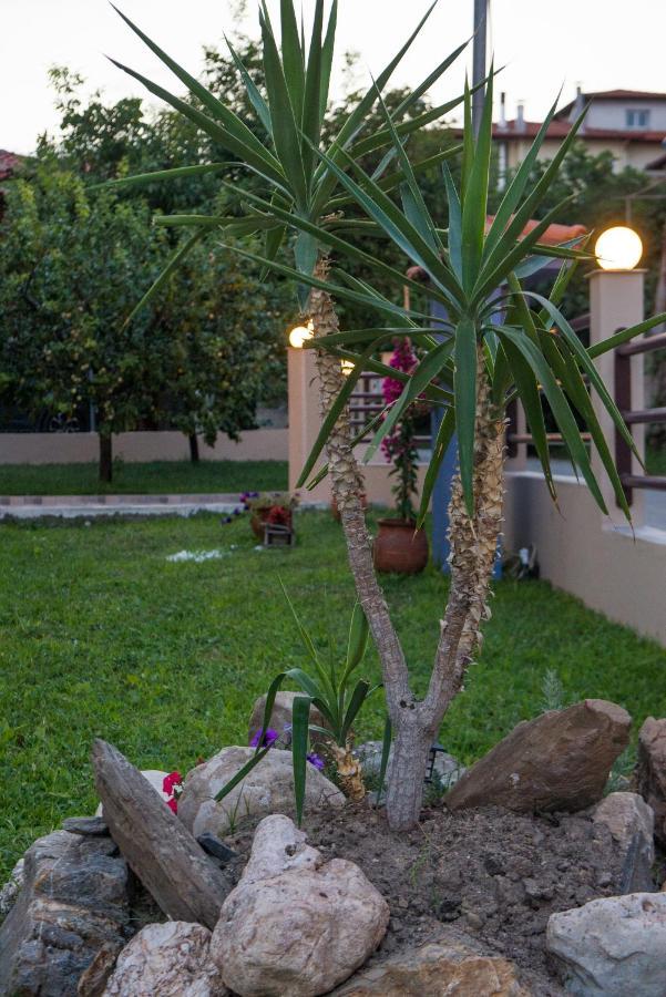 Roxani'S Apartments Ayos Nikolaos Dış mekan fotoğraf